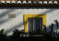 /album/cacela-velha/dsc-3291-copy-jpg/